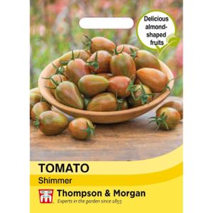Thompson & Morgan Tomato Shimmer