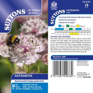 Suttons Astrantia Seeds