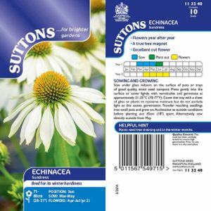 Suttons Echinacea Seeds - Sundress