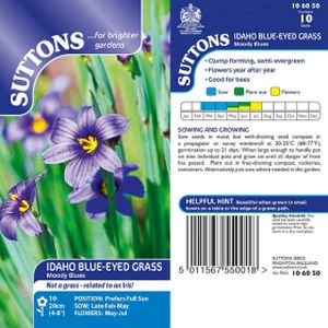Suttons Idaho Blue-Eyed Grass Seeds-Moody Blues