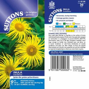 Suttons Inula Seeds - Grandiflora