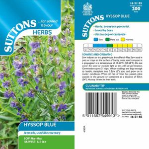 Suttons Herb Seeds - Hyssop Blue