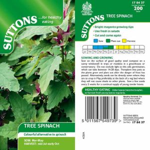 Suttons Tree Spinach Seeds