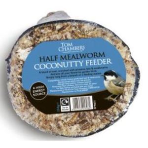 Tom Chambers Coconut - Half - Mealworm