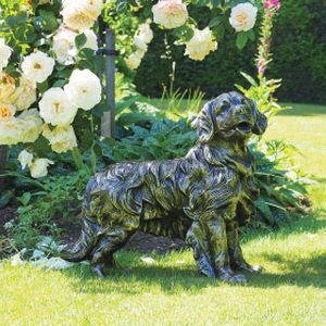 Home & Garden Dog - Golden Retriever