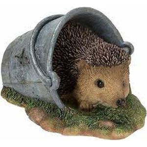 Vivid RL Hedgehog in Rusty Pail D