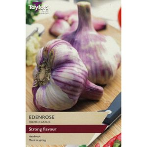 Taylor's Bulbs French Garlic Edenrose