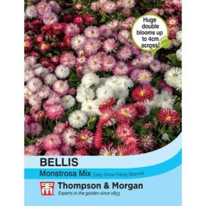 Thompson & Morgan Bellis Monstrosa Mix