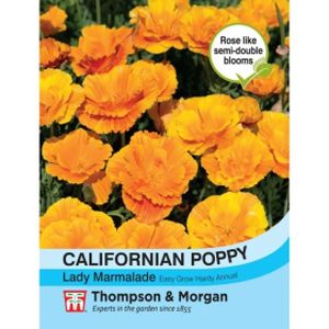 Thompson & Morgan Californian Poppy Lady Marmalade
