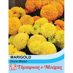 Thompson & Morgan Marigold Indian Kushi Mix