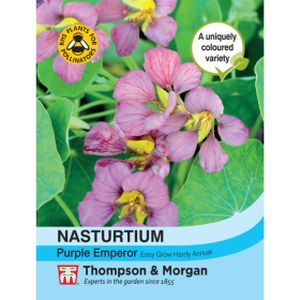 Thompson and Morgan Nasturtium Purple Emperor