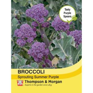 Thompson and Morgan Broccoli Sprouting Summer Purple