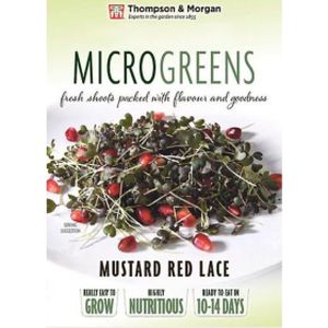 Tandm Microgreens Mustard Red Lace