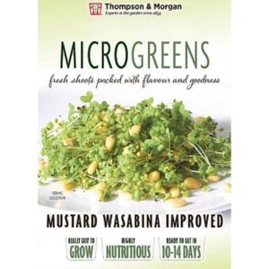 Tandm Microgreens Mustard Wasabina Imp
