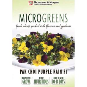 Tandm Microgreens Pak Choi Pple Rain F1