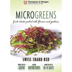 Tandm Microgreens Swiss Chard Red Chard