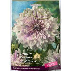 Prins Dahlia Mom's Special