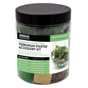 Panacea Terrarium & Succulent Starter Kit