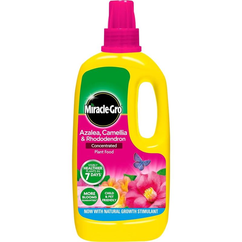 Miracle-Gro Azalea, Camellia & Rhododendron Concentrate 800ml