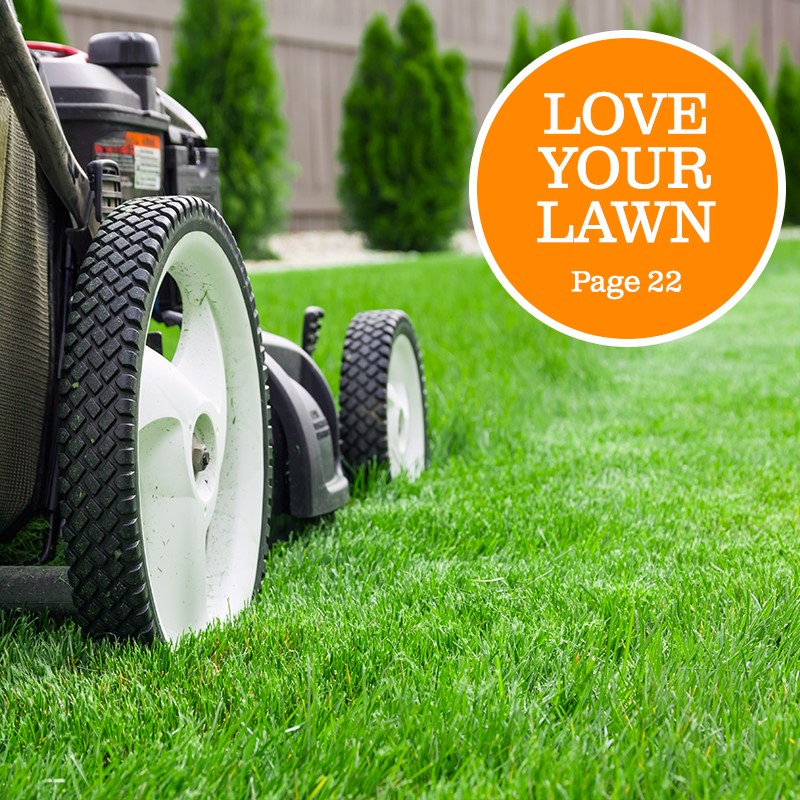 Love your lawn