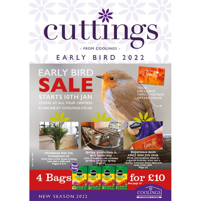 Cuttings- Shop By Page