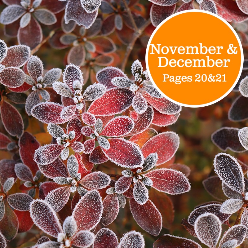 November and December - page 20&21
