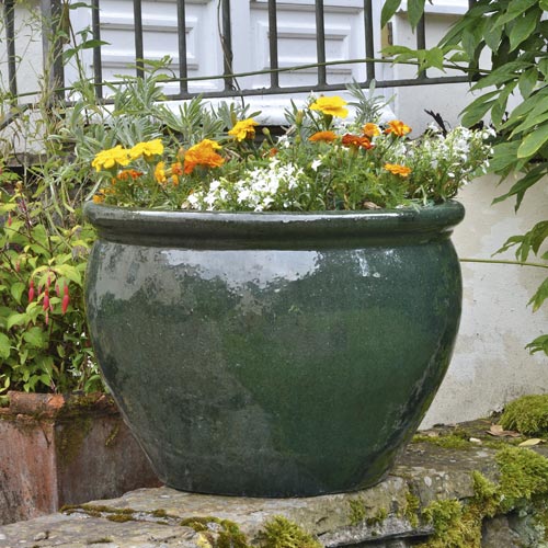 Containers From Coolings Garden Centre, How To Plant Large Outdoor Pots