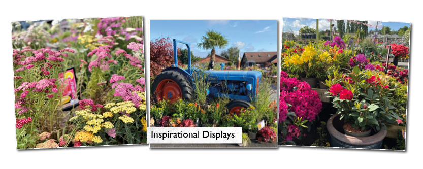 Coolings Gardening Inspiration Displays