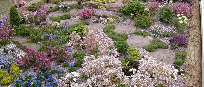 Featured image for 'How to plant an Alpine Garden'