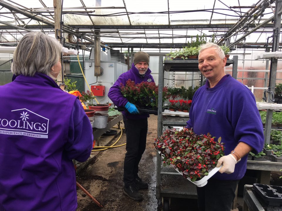 Our team of horticulturists hard at work 