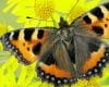 Wildlife in the garden, such as this Small Tortoiseshell Butterfly, is great to cheer the mood