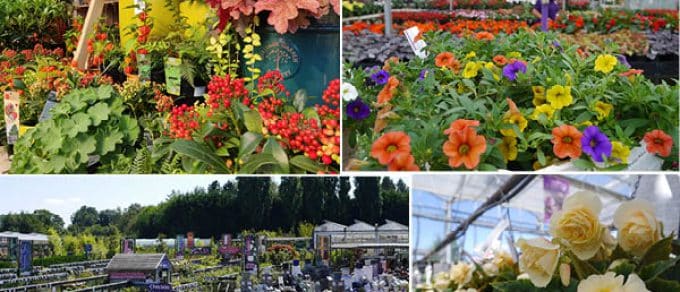 Featured image for 'Coolings Celebrates Third Place for ‘Best UK Plant Area’'