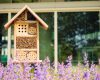 Make your own bee hotel to provide bees to the garden 
