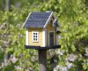 Bird houses and feeders can attract birds and keep them well fed