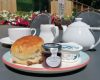 Afternoon Tea at Hybrid Tea Room at Coolings Wych Cross Garden Centre