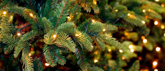 Featured image for 'Christmas Tree Light Guide'