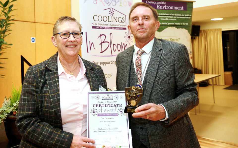 Maidstone Best Commercial Planted Container Winner