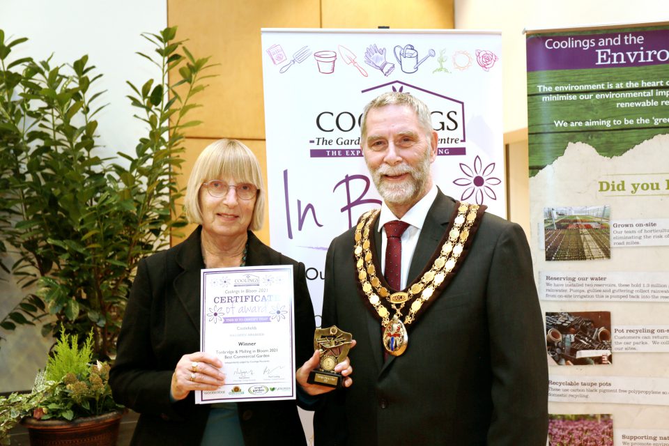 Tonbridge and Malling Best Commercial Planted Container Winner