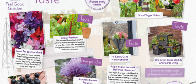 Featured image for 'Coolings Feel Good Gardens – May'