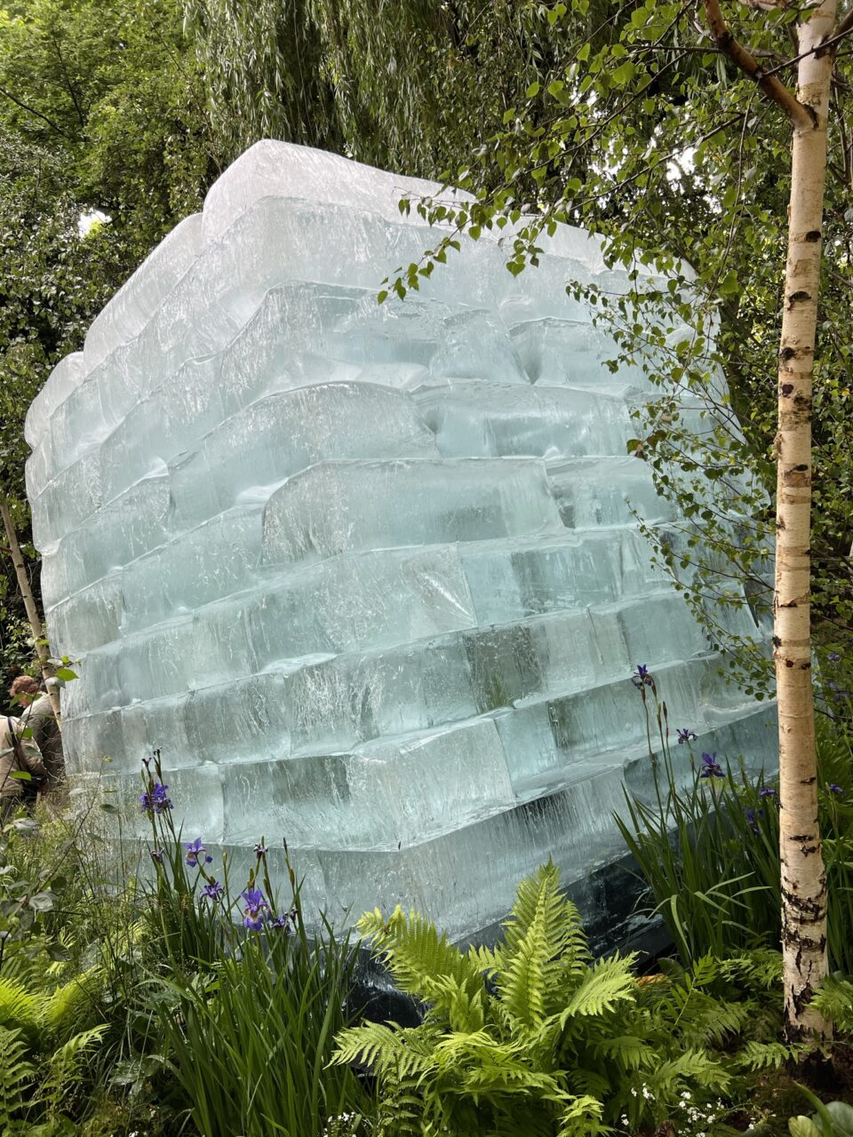 The Plantman's Ice Garden