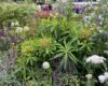 BBC Studios Our Green Planet and RHS Bee Garden