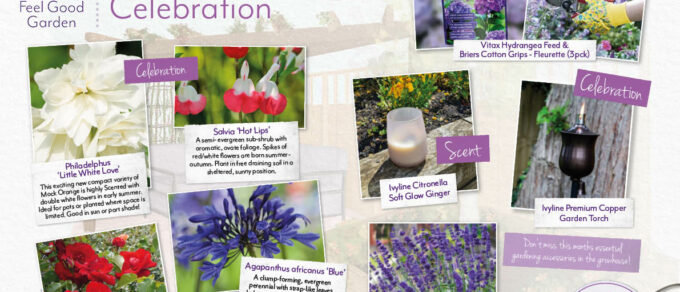 Featured image for 'Coolings Feel Good Gardens – June'