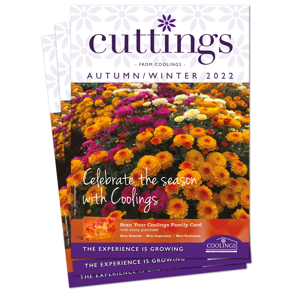 Autumn Winter 2022 Cuttings Cover