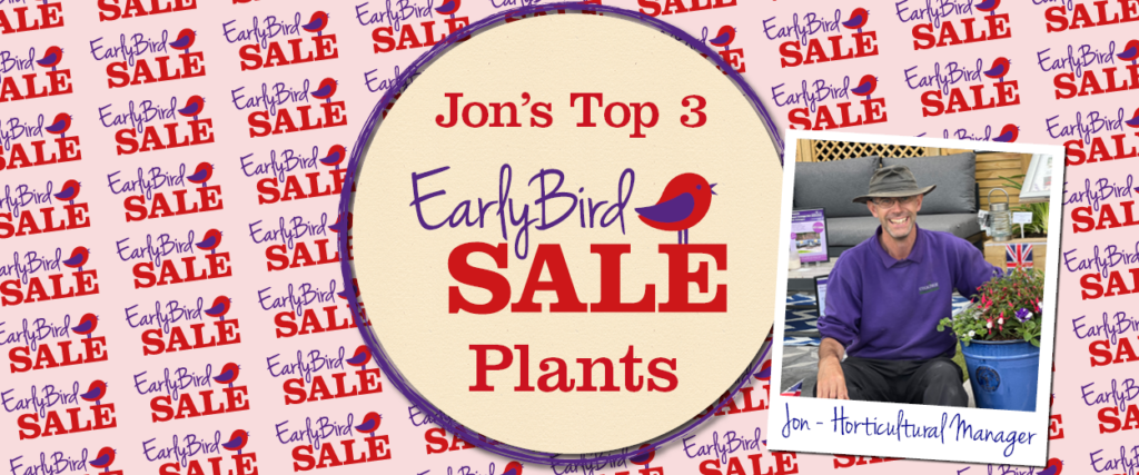 Jon's Top 3 Early Bird Sale Plants