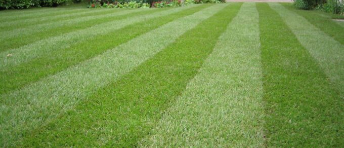 Featured image for 'Lawncare for a Luscious Lawn'