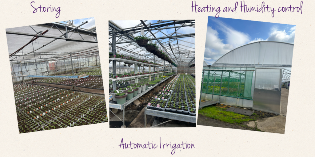 Nursery tour- Storing, automatic irrigation, heating and humidity control
