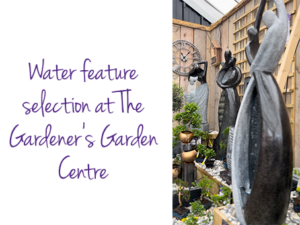Water Feature Selection at The Gardener's Garden Centre