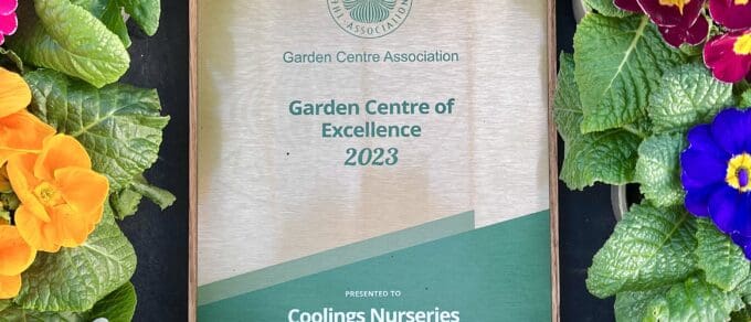 Featured image for 'GCA Garden Centre of Excellence Award'