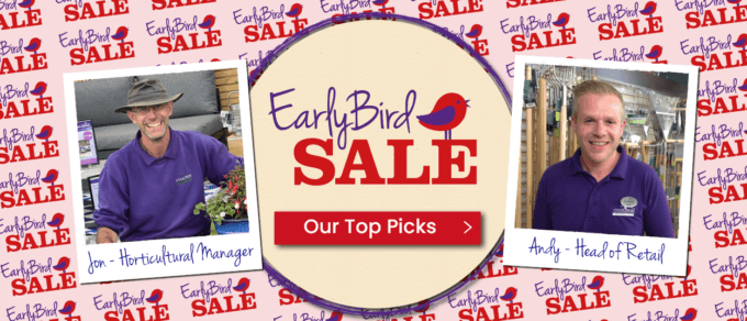 Featured image for 'Early Bird 2024 Sale Top Picks'